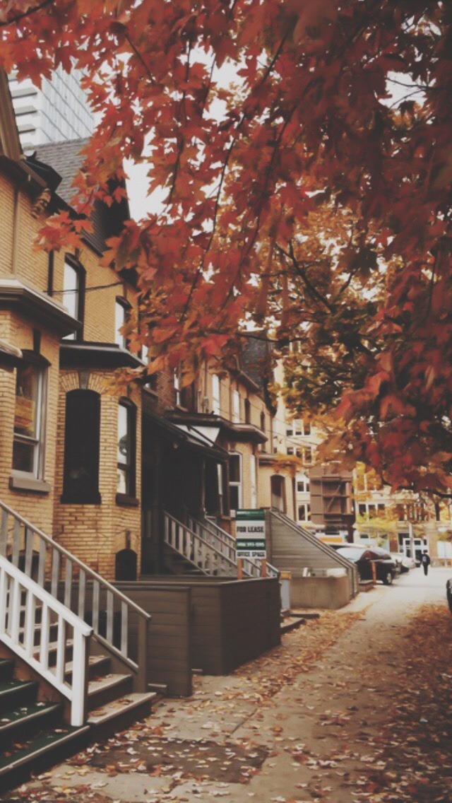 가을 배경 tumblr,나무,도시,이웃,특성,집