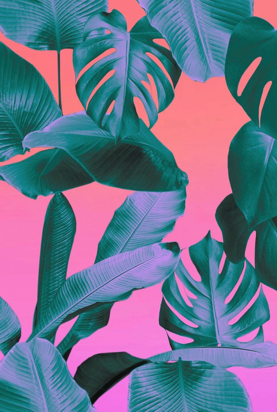 patrón fondos de pantalla tumblr,verde,hoja,rosado,planta,flor