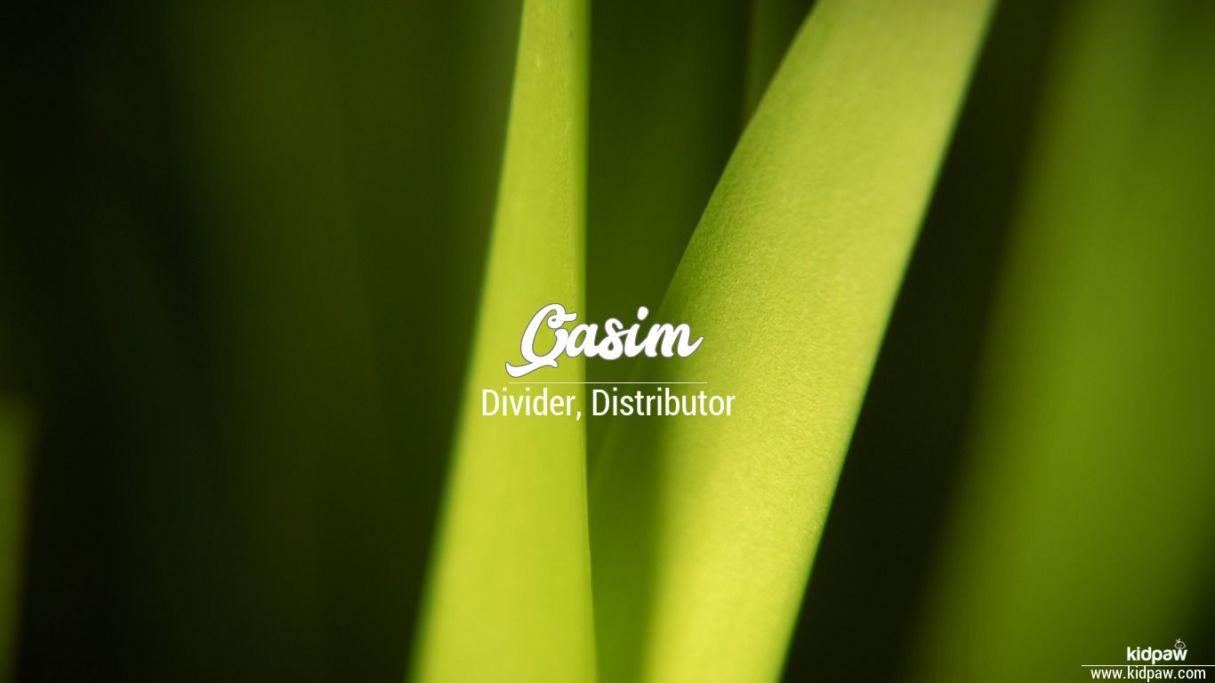 qasim name wallpaper,green,leaf,yellow,macro photography,close up