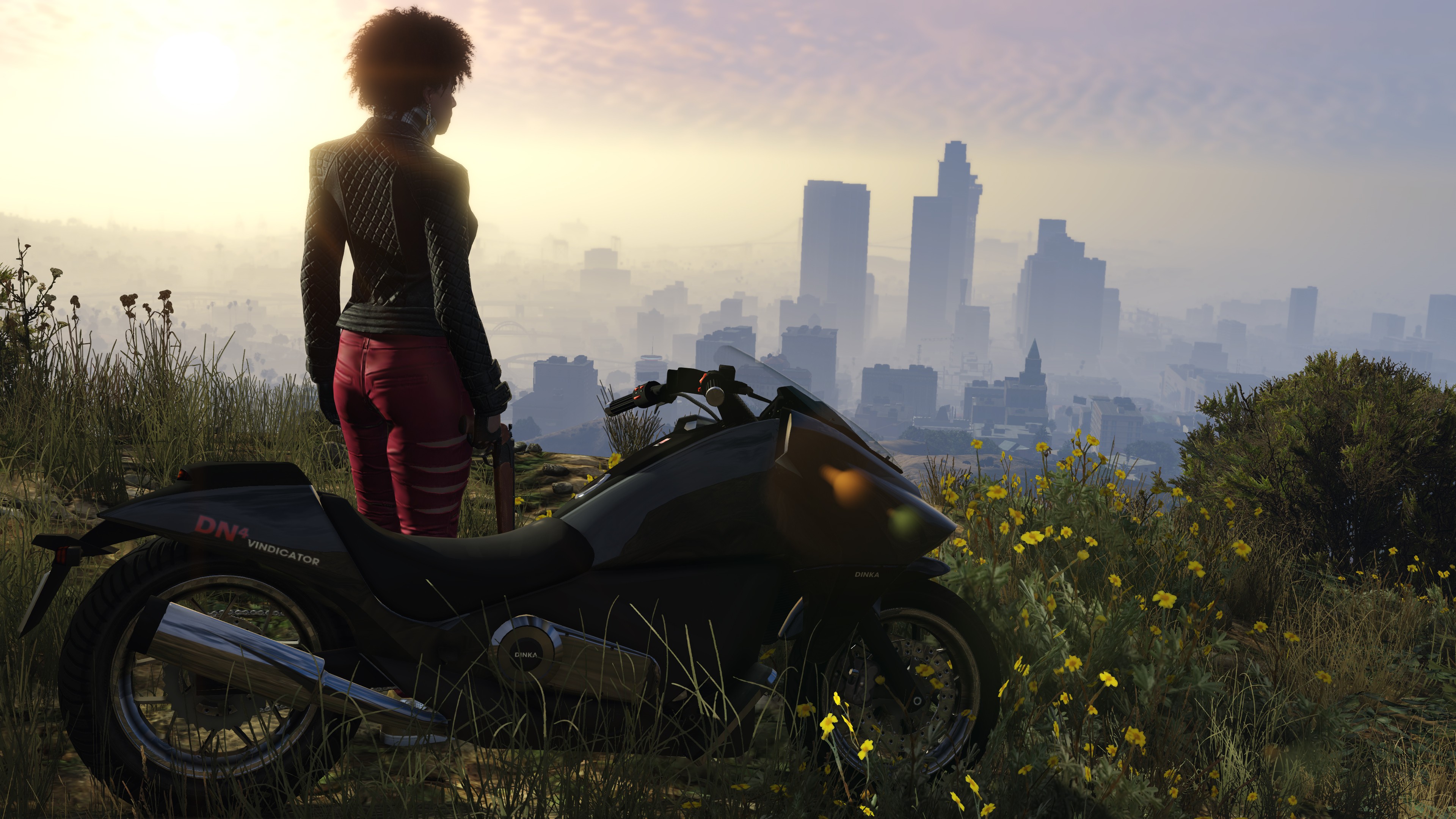 sfondo di gta 5 per pc,motociclo,veicolo,cielo,erba,luce del sole