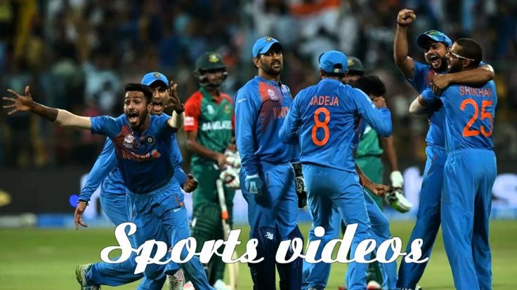 ms dhoni live wallpaper,gli sport,cricket,giocatore di cricket,cricket limitato,un giorno internazionale