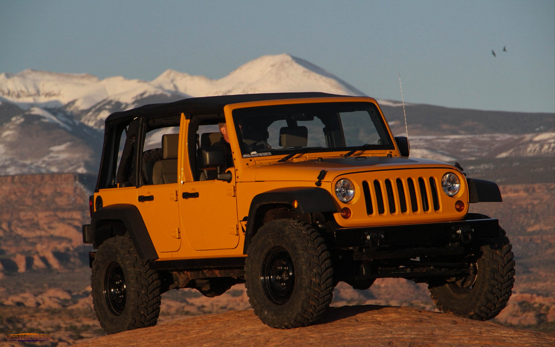 jeep clásico fondo de pantalla hd,vehículo terrestre,vehículo,coche,todoterreno,vehiculo todoterreno