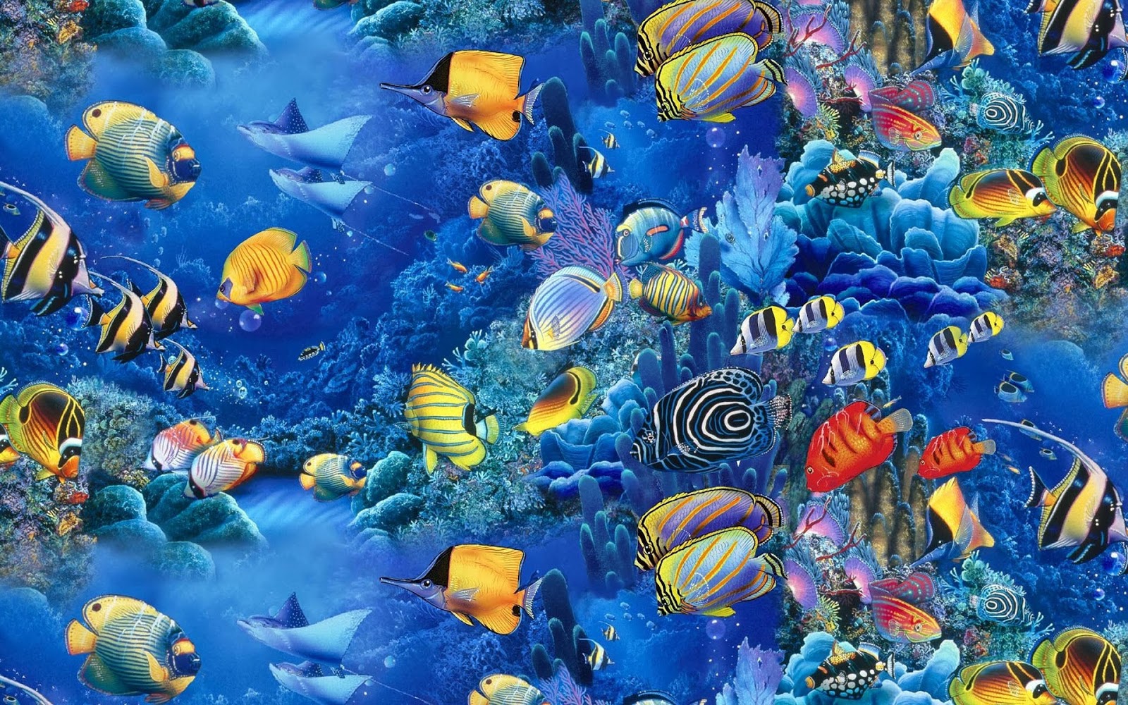 무자비한 벽지,해양 생물학,수중,산호초 물고기,물,푸른