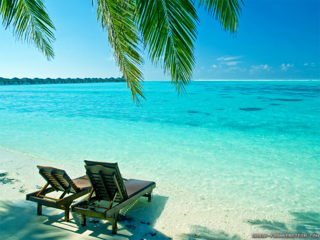 sfondo del desktop estivo gratuito,caraibico,vacanza,mare,oceano,palma