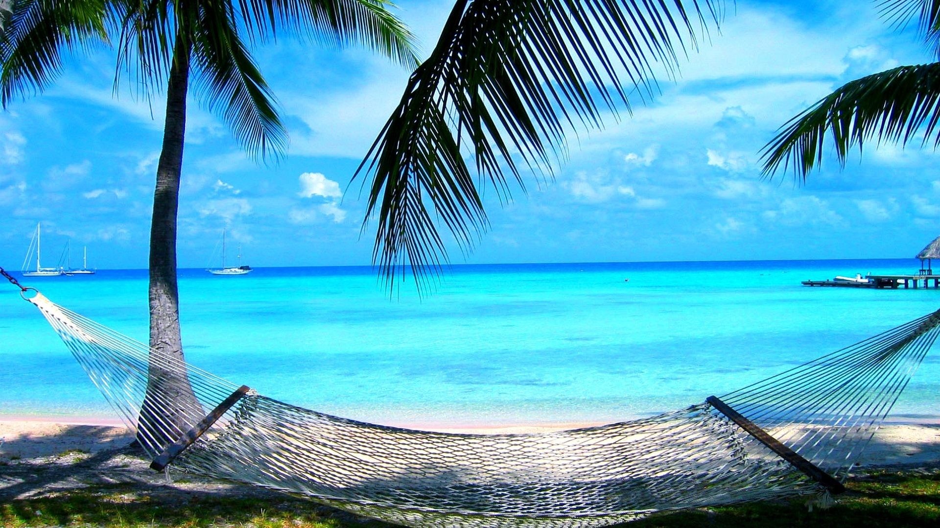 無料夏のデスクトップの壁紙,ハンモック,自然,空,木,カリブ海