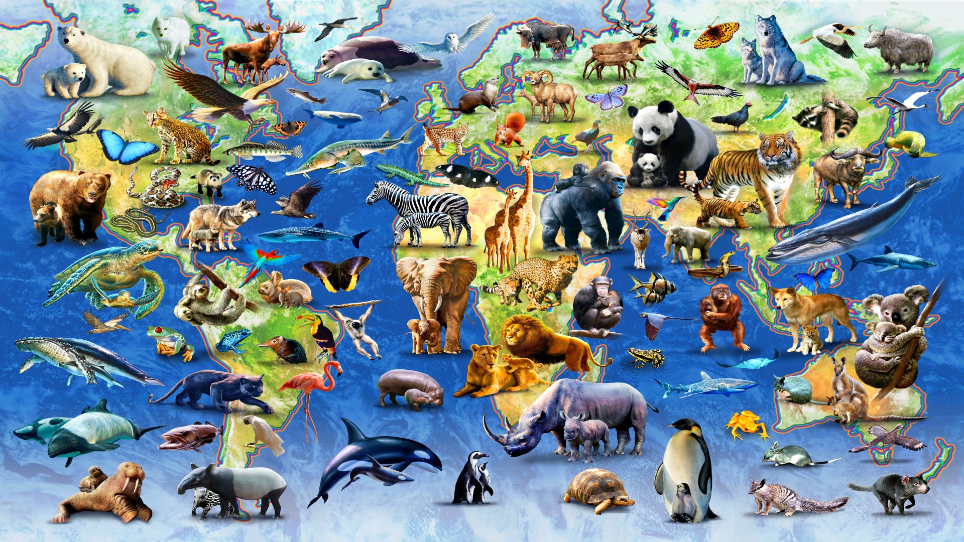 all animal wallpaper,animated cartoon,cartoon,collage,wildlife,art