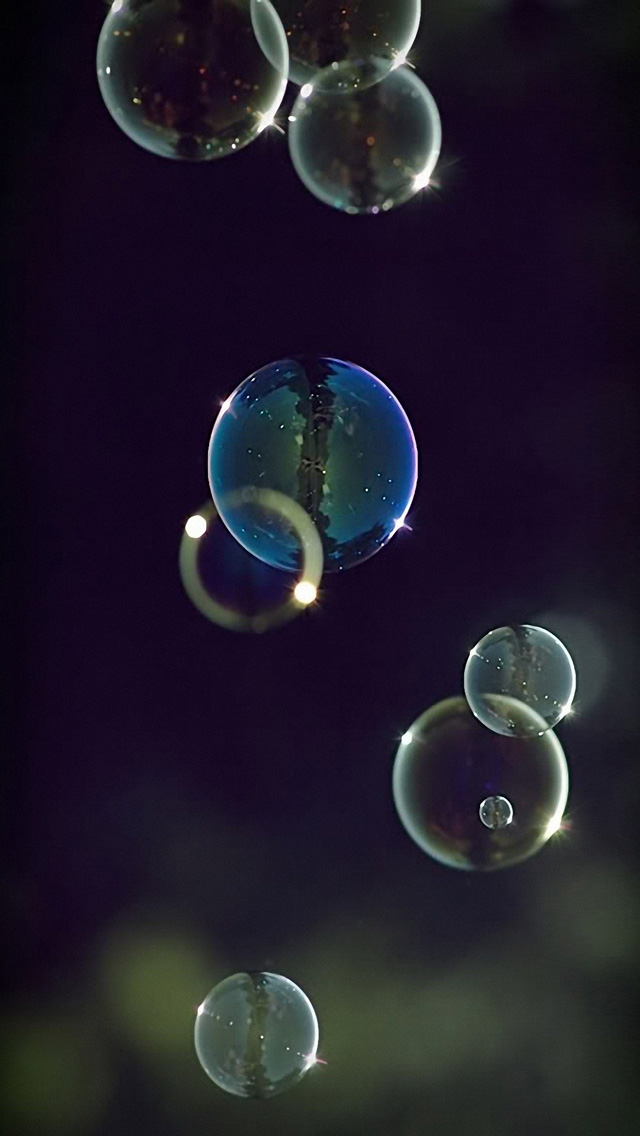 iphone wallpapers hd free download,water,organism,drop,macro photography,liquid bubble