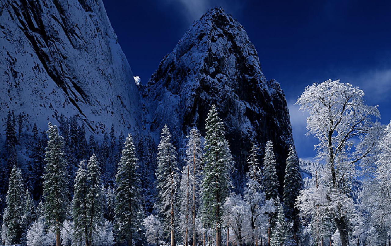 carta da parati inverno scuro,blu,natura,albero,inverno,neve