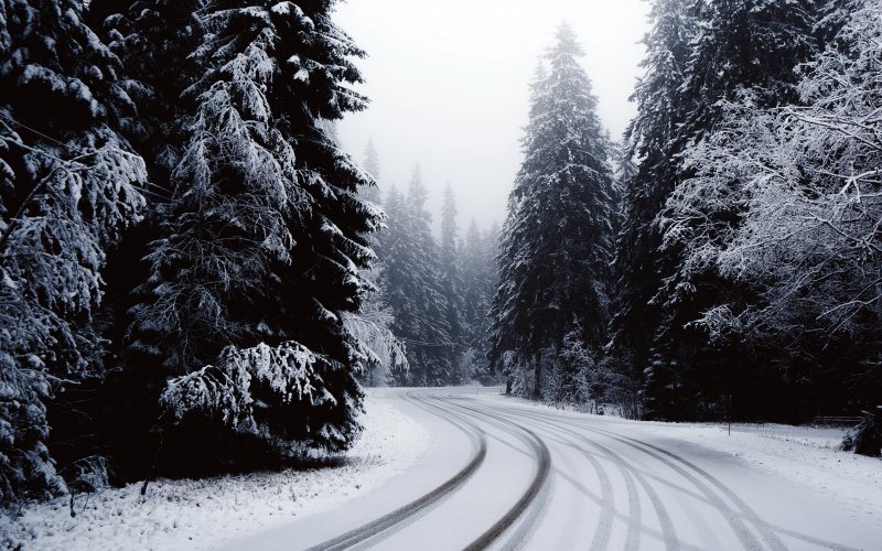 暗い冬の壁紙,雪,冬,木,凍結,自然の風景