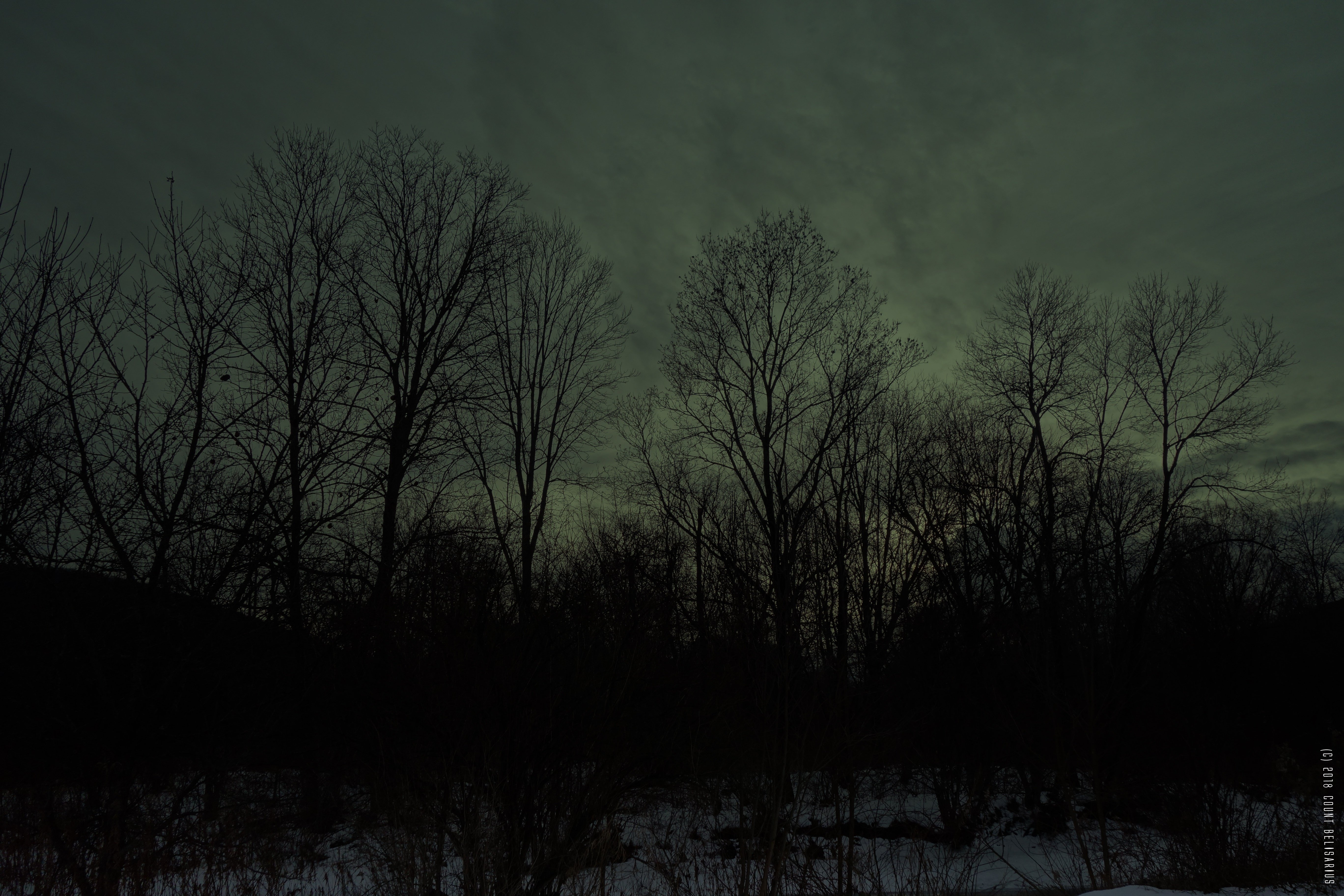 fond d'écran d'hiver sombre,ciel,la nature,l'eau,noir,arbre