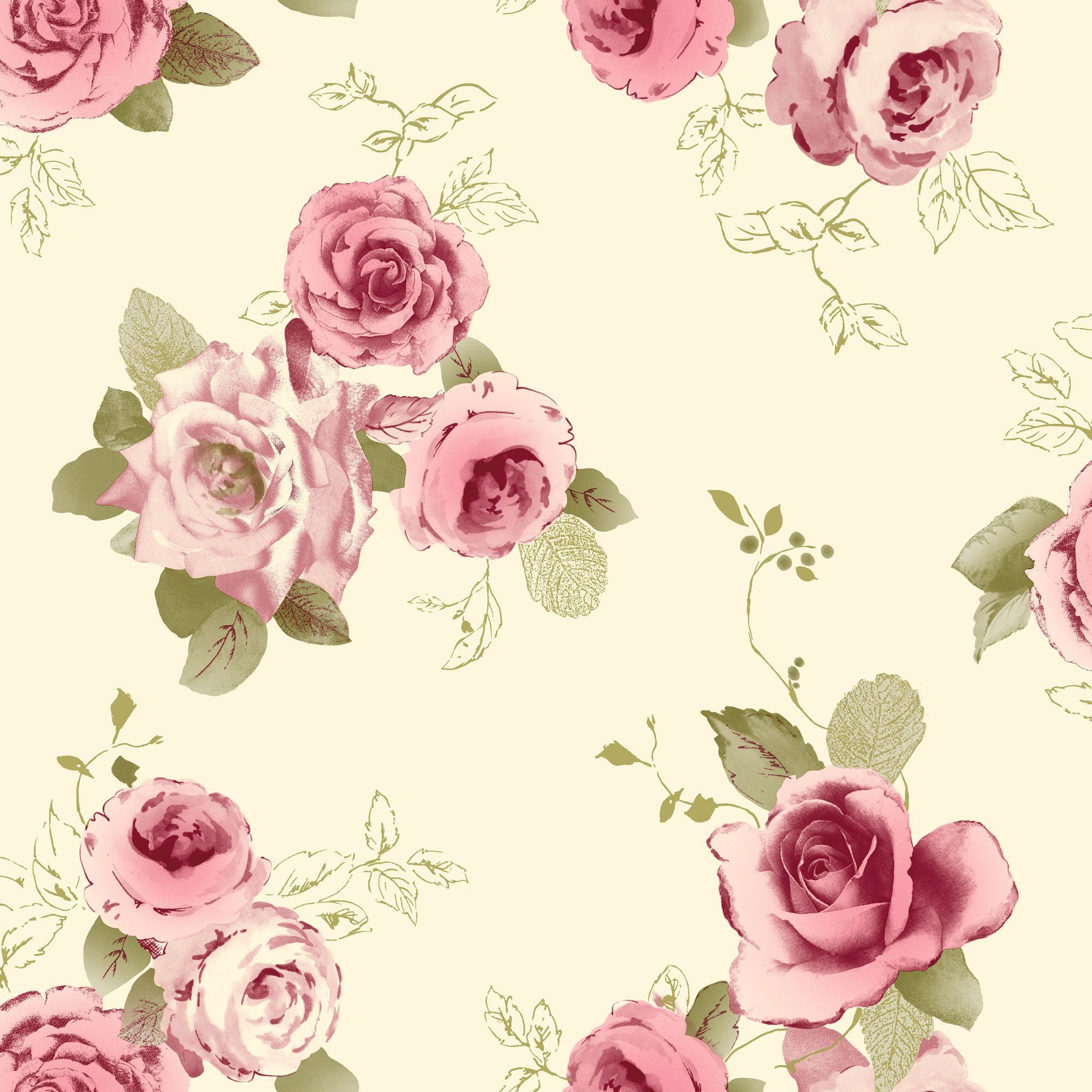 크림 꽃 벽지,분홍,정원 장미,장미,꽃,로사 센티 폴리아