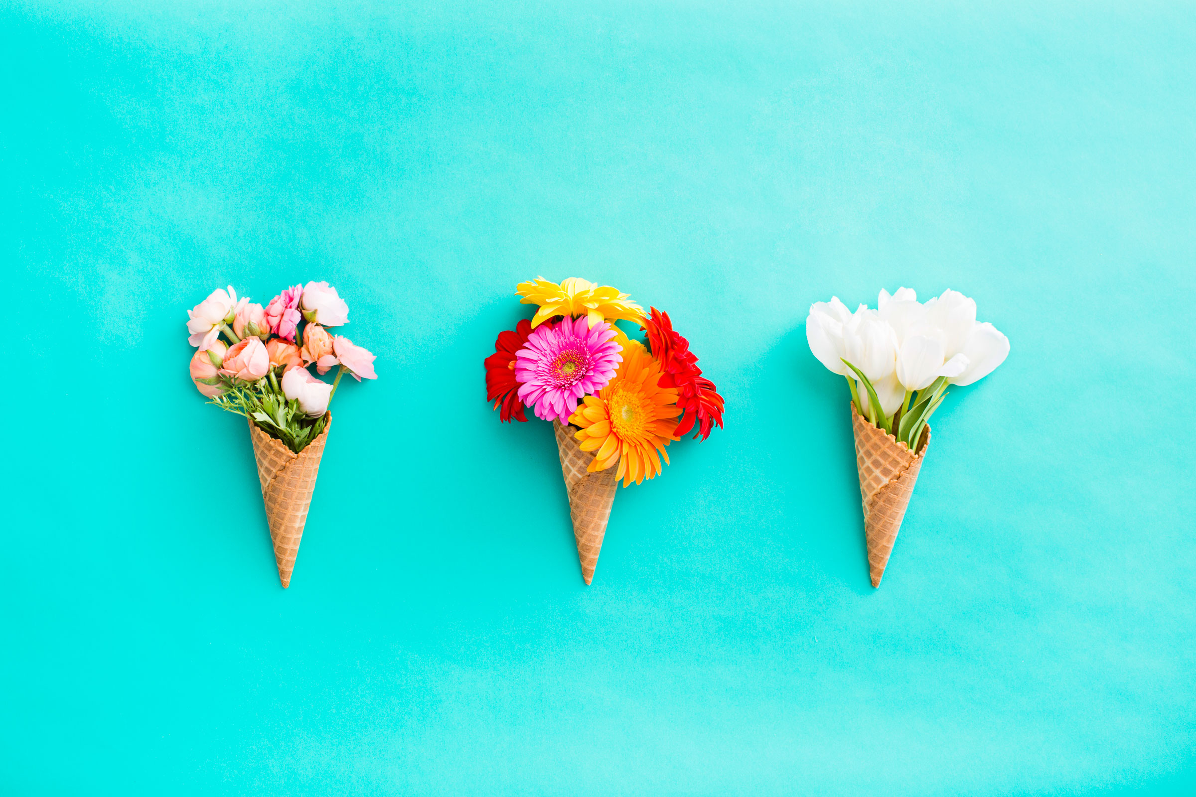 Flowers In Ice Cream Cones- WallpaperUse