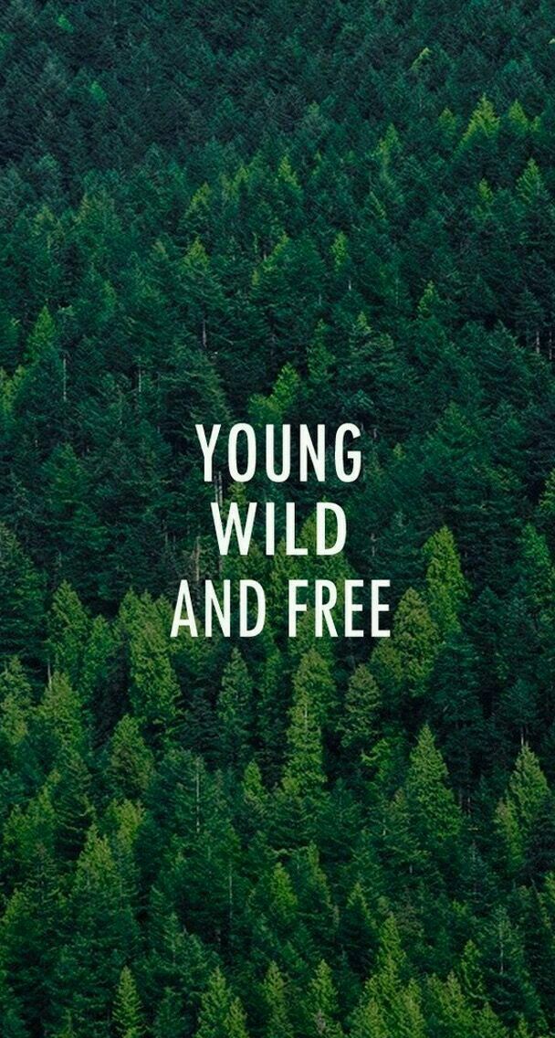 junge wilde und freie tapete,grün,natur,natürliche landschaft,text,schriftart