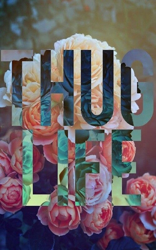 thug life wallpaper iphone,text,font,pink,rose,flower