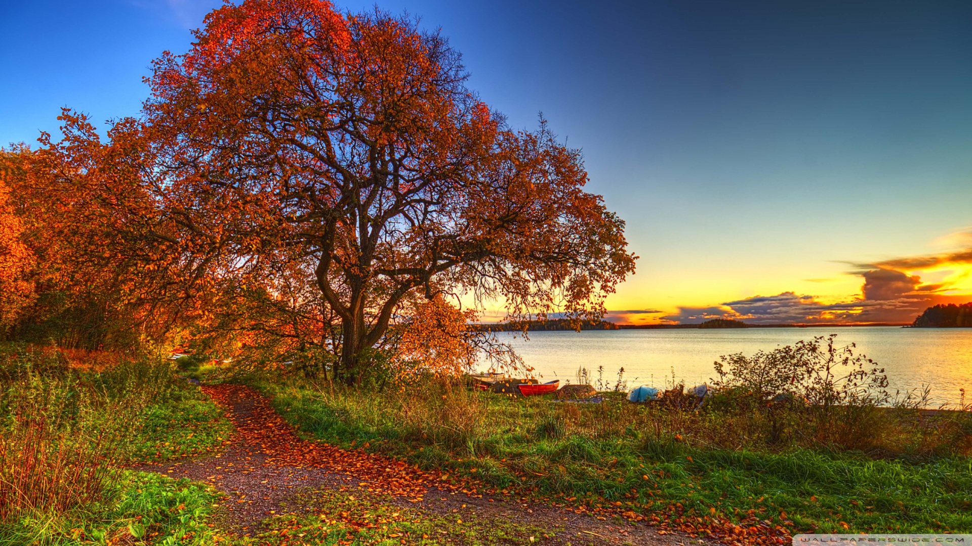 tapete landschaftsfoto,natürliche landschaft,natur,baum,himmel,blatt