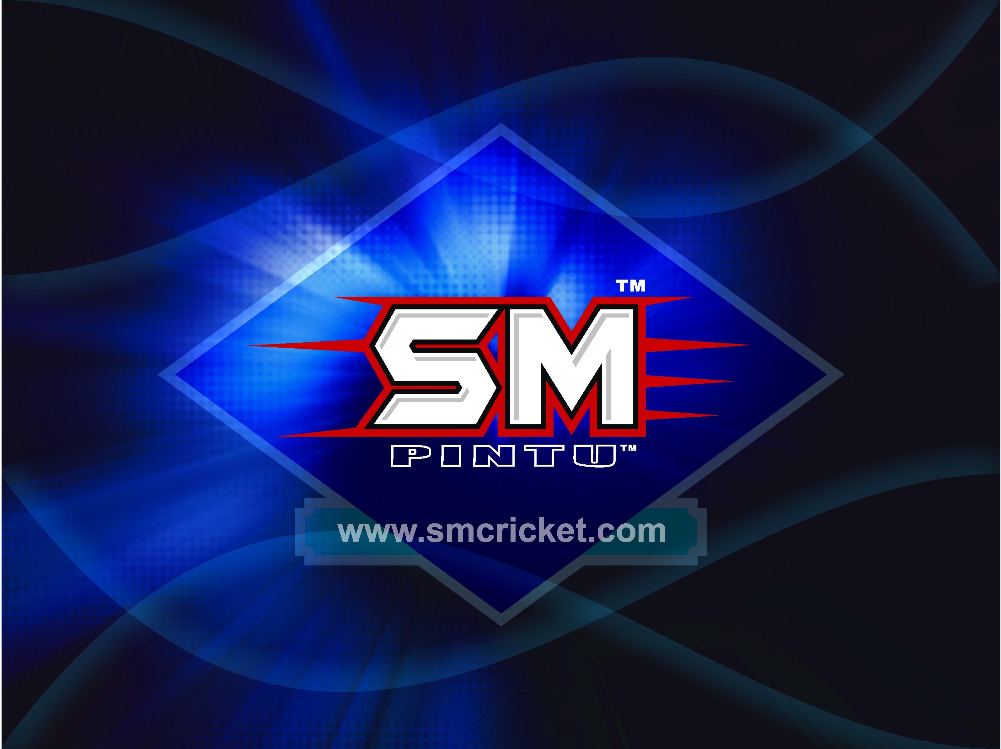 tm wallpaper,logo,electric blue,graphics,font,technology