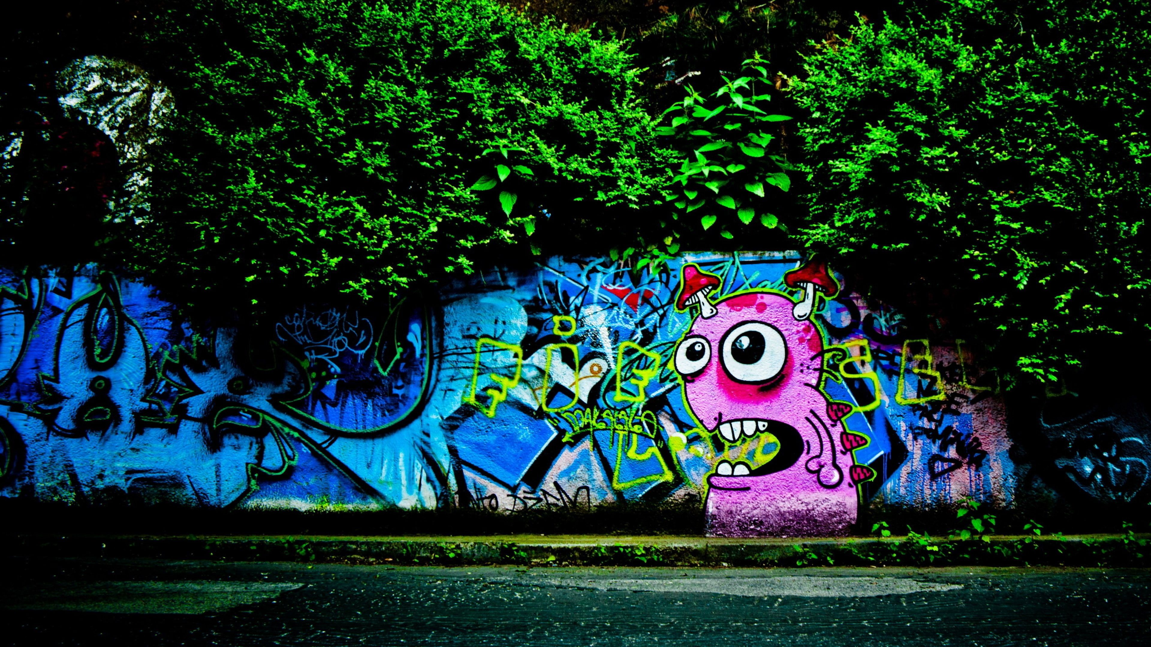 sfondi graffiti 4k,graffiti,arte di strada,arte,verde,parete