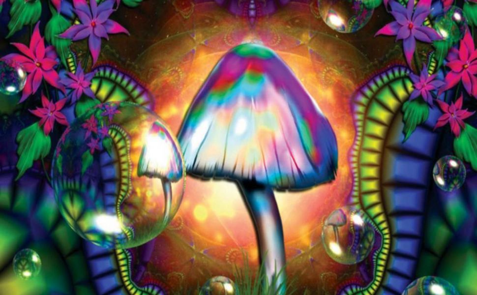 love magic hd live wallpaper,psychedelic art,mushroom,art,organism,fractal art