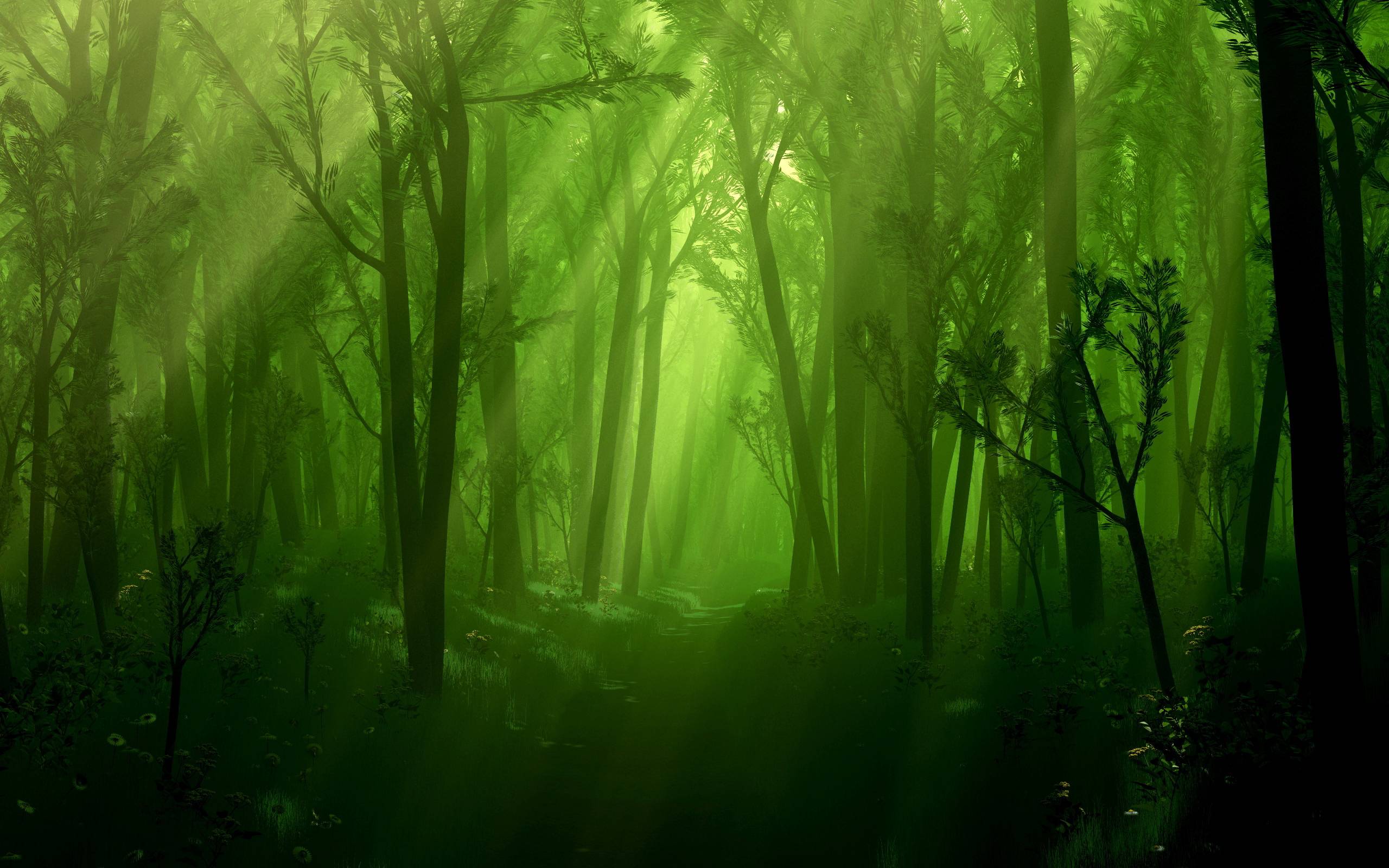 魔法のhdライブ壁紙を愛する,自然,緑,森林,古い成長林,自然の風景