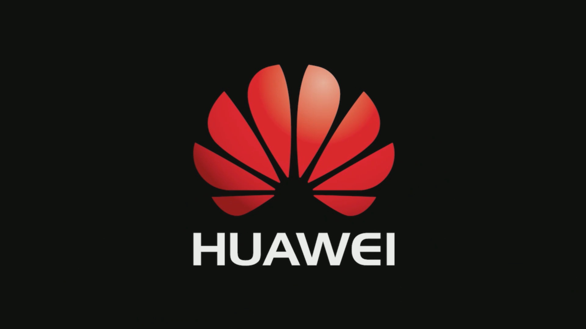 huawei wallpaper free download,red,logo,leaf,text,graphic design