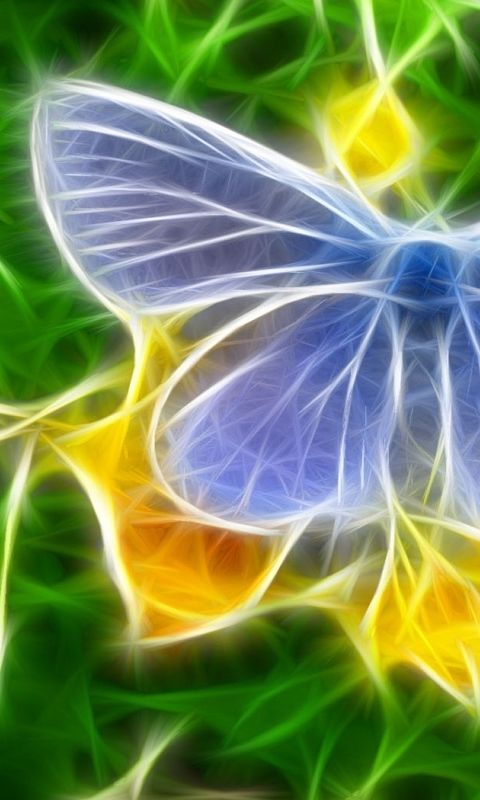fonds d'écran étonnants hd pour téléphones mobiles,l'eau,papillon,papillons et papillons,insecte,bleu électrique