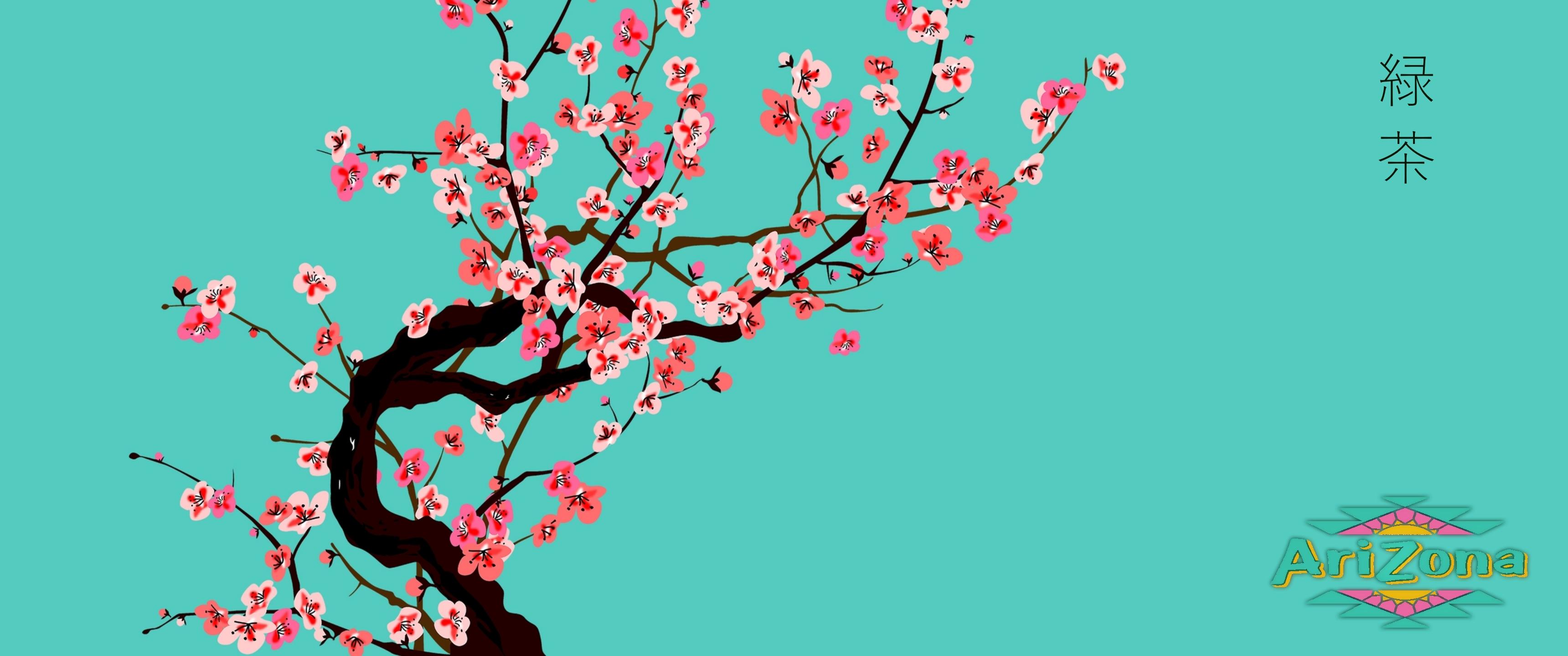 arizona green tea wallpaper,branch,blossom,cherry blossom,flower,spring (261014) WallpaperUse