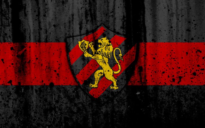 sport recife wallpaper,red,flag,graphics,logo,illustration