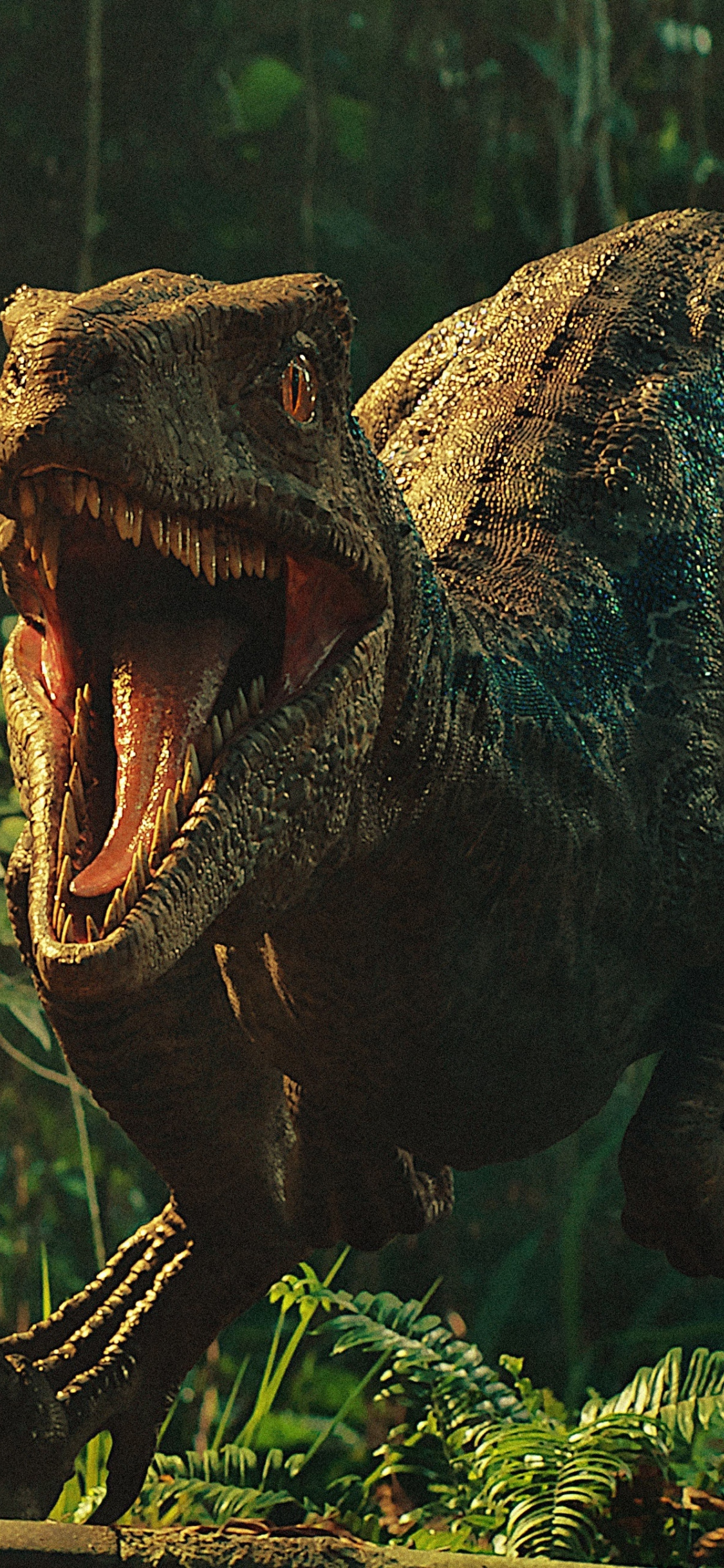 dinosaur iphone wallpaper,dinosaur,tyrannosaurus,velociraptor,extinction,terrestrial animal