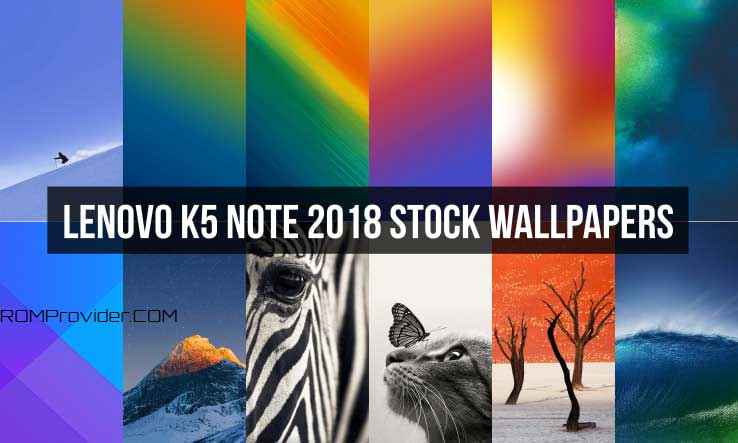 lenovo k5 wallpaper,adaptation,sky,wildlife,organism,photography