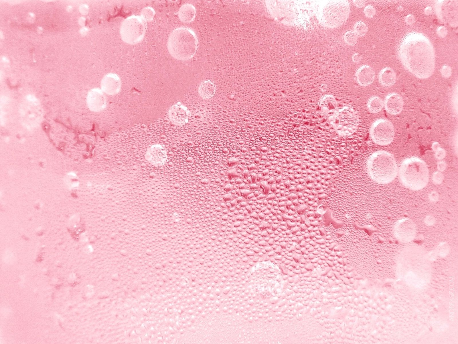 pink bubble wallpaper,pink,material property,pattern,magenta,wallpaper