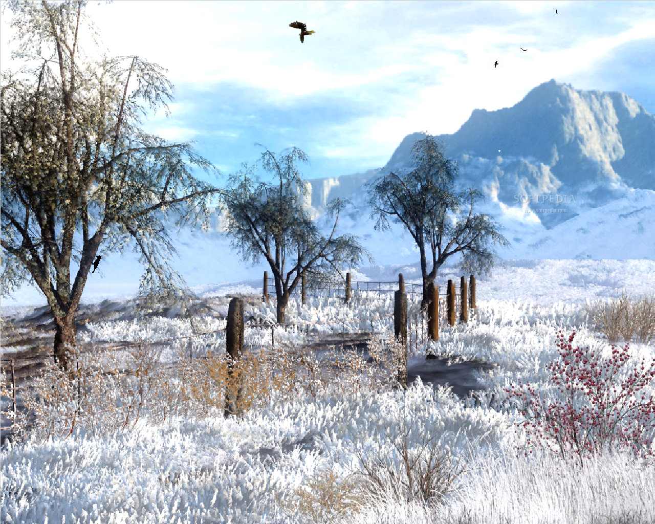 animated weather wallpaper,natural landscape,winter,frost,wildlife,tree