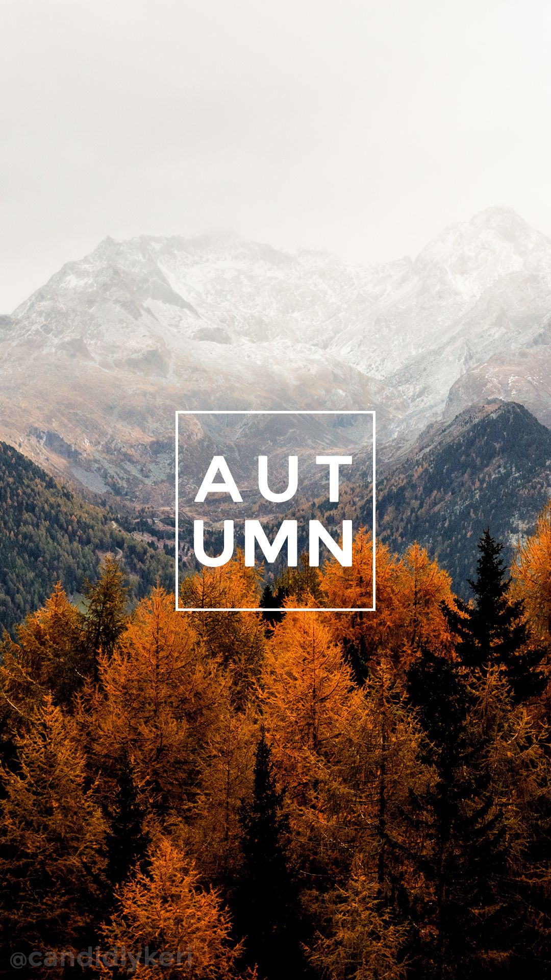 アンドロイドのための秋の壁紙,自然,自然の風景,山,山脈,木
