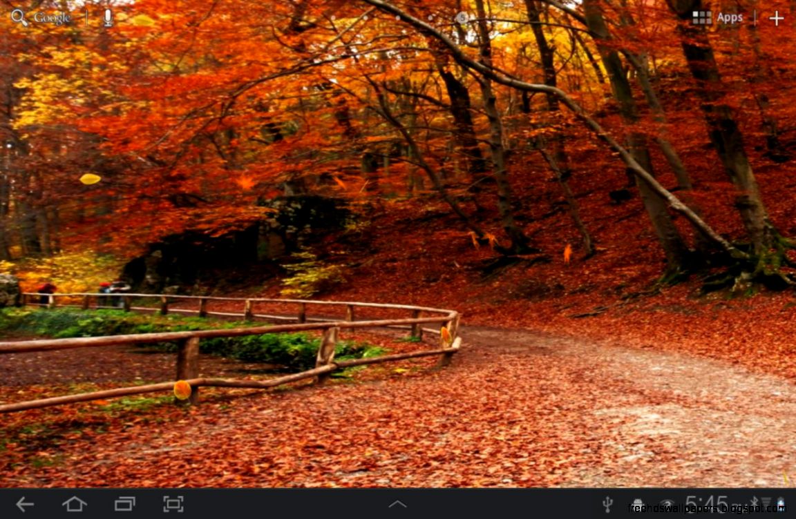 herbst wallpaper für android,natürliche landschaft,natur,baum,herbst,blatt