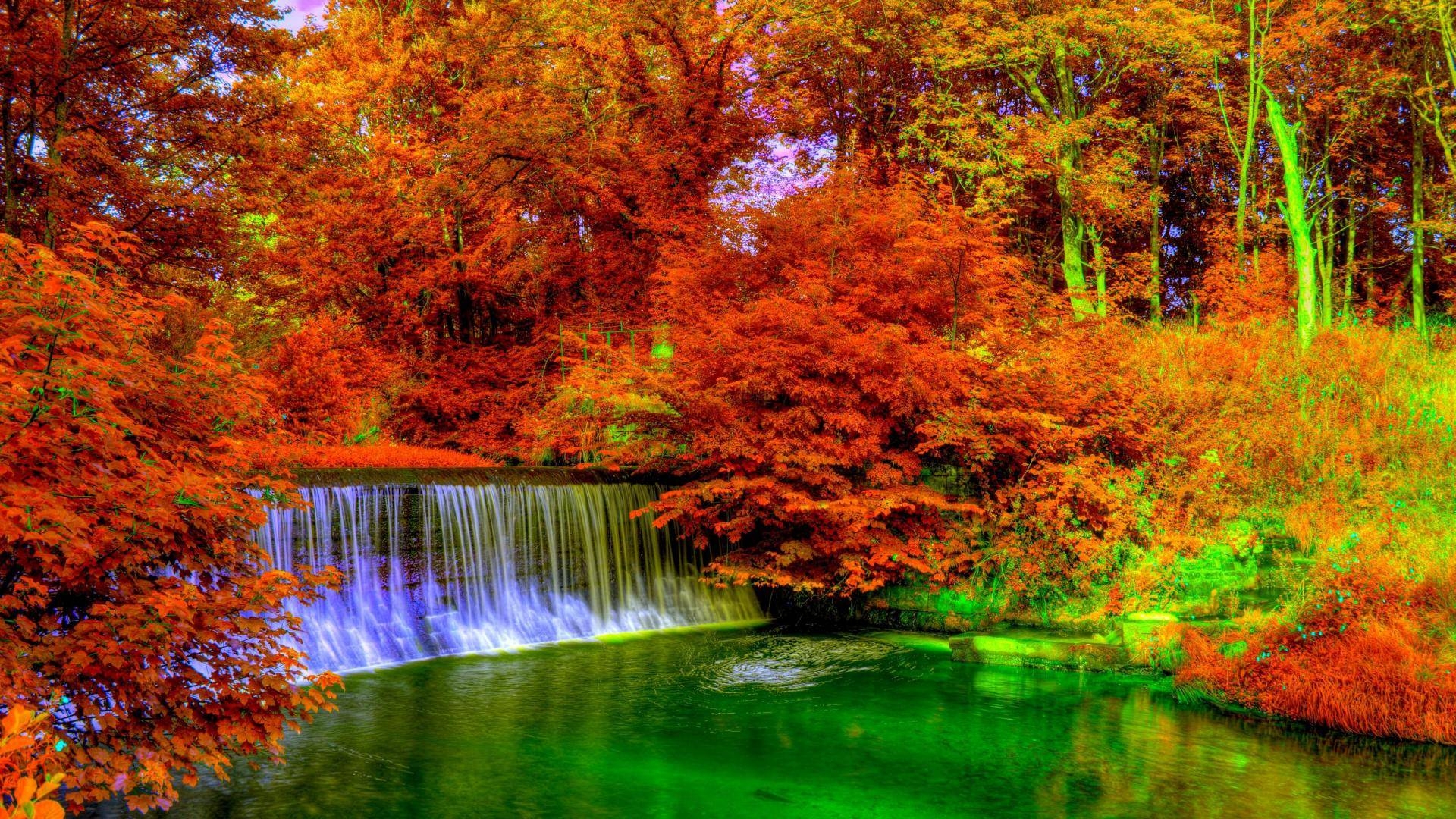가을 색 벽지,자연,자연 경관,반사,물줄기,나무