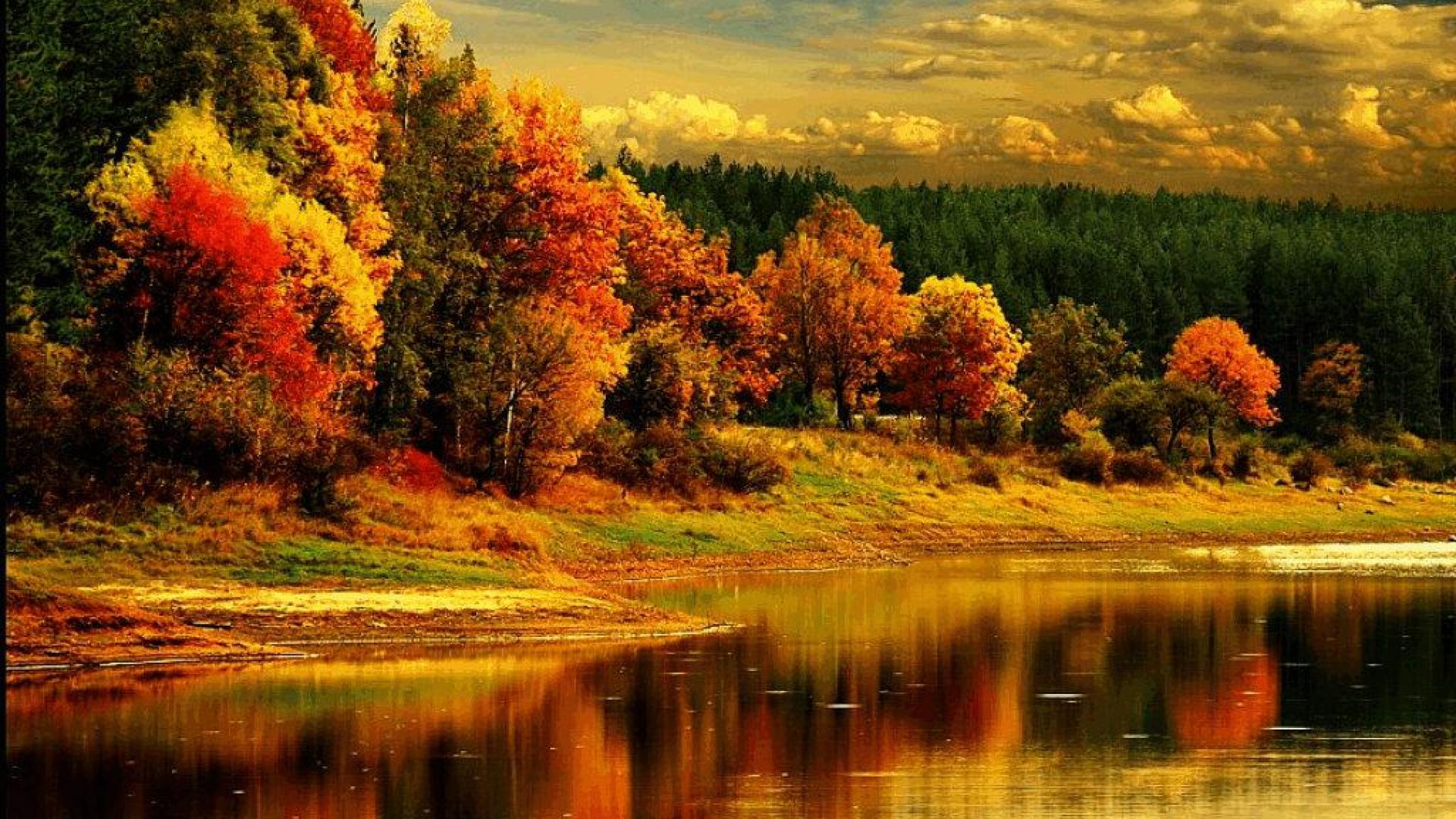 가을 색 벽지,자연 경관,자연,반사,잎,나무