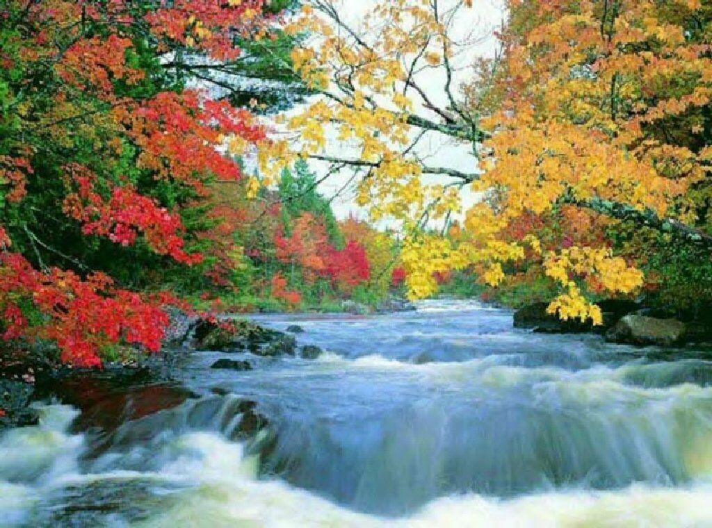 herbstfarben tapete,natürliche landschaft,gewässer,natur,strom,fluss