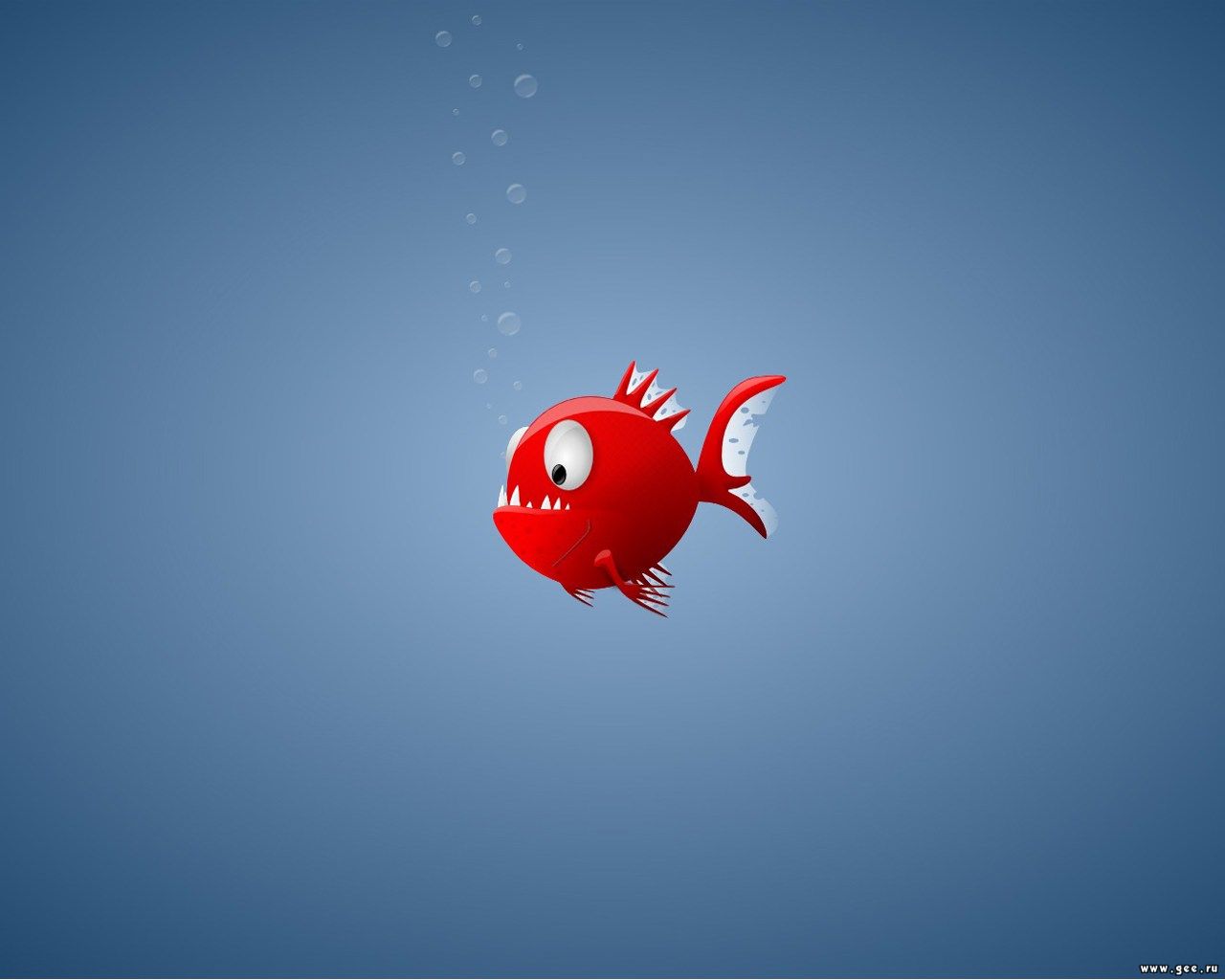 wallpaper url,fisch,rot,fisch,goldfisch,animation