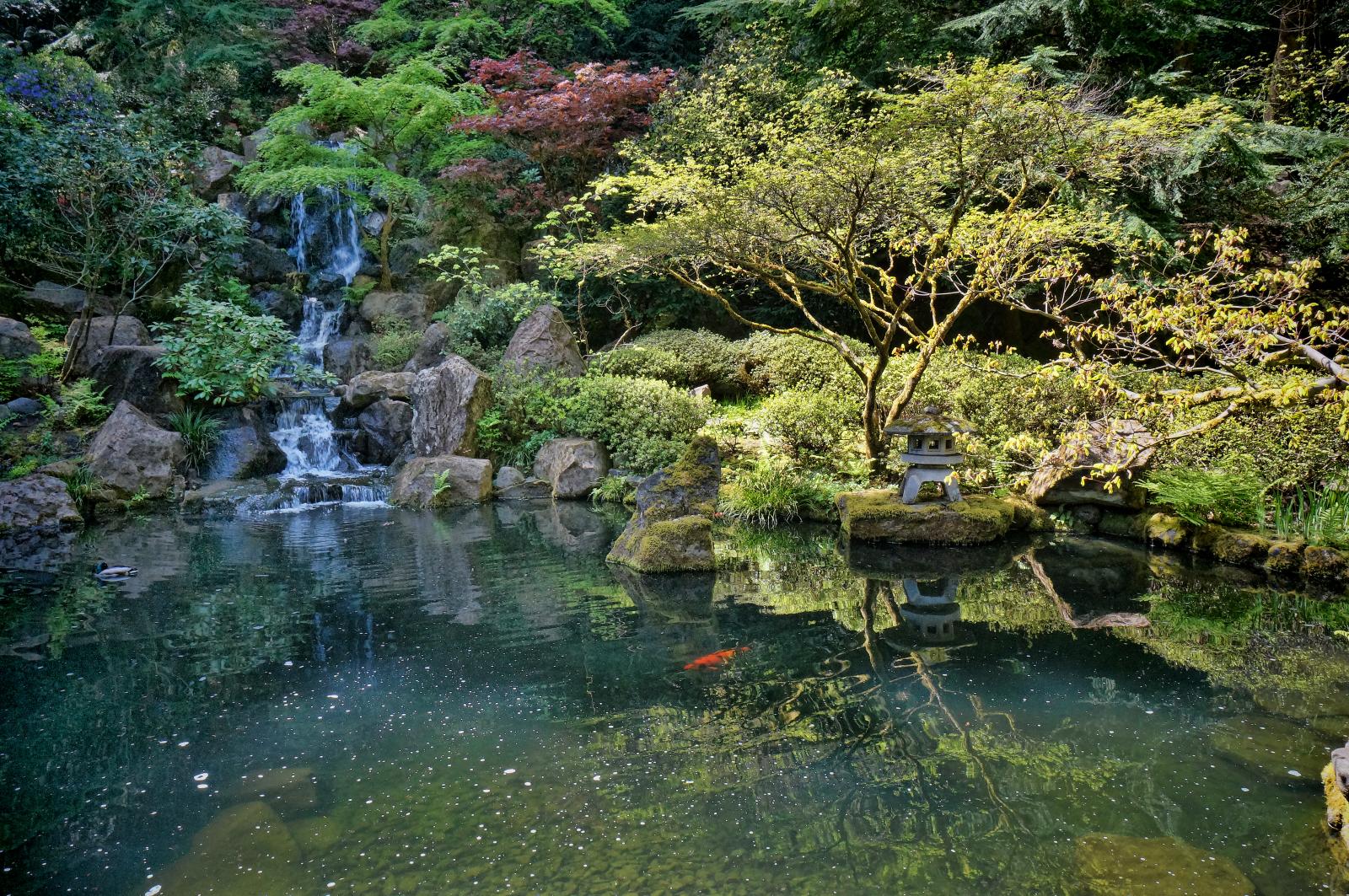 壁紙のurl,水域,自然の風景,自然,水資源,水