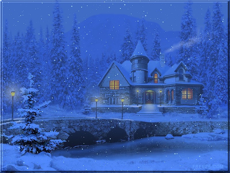 무료 성인 벽지,겨울,눈,동결,크리스마스 이브,나무