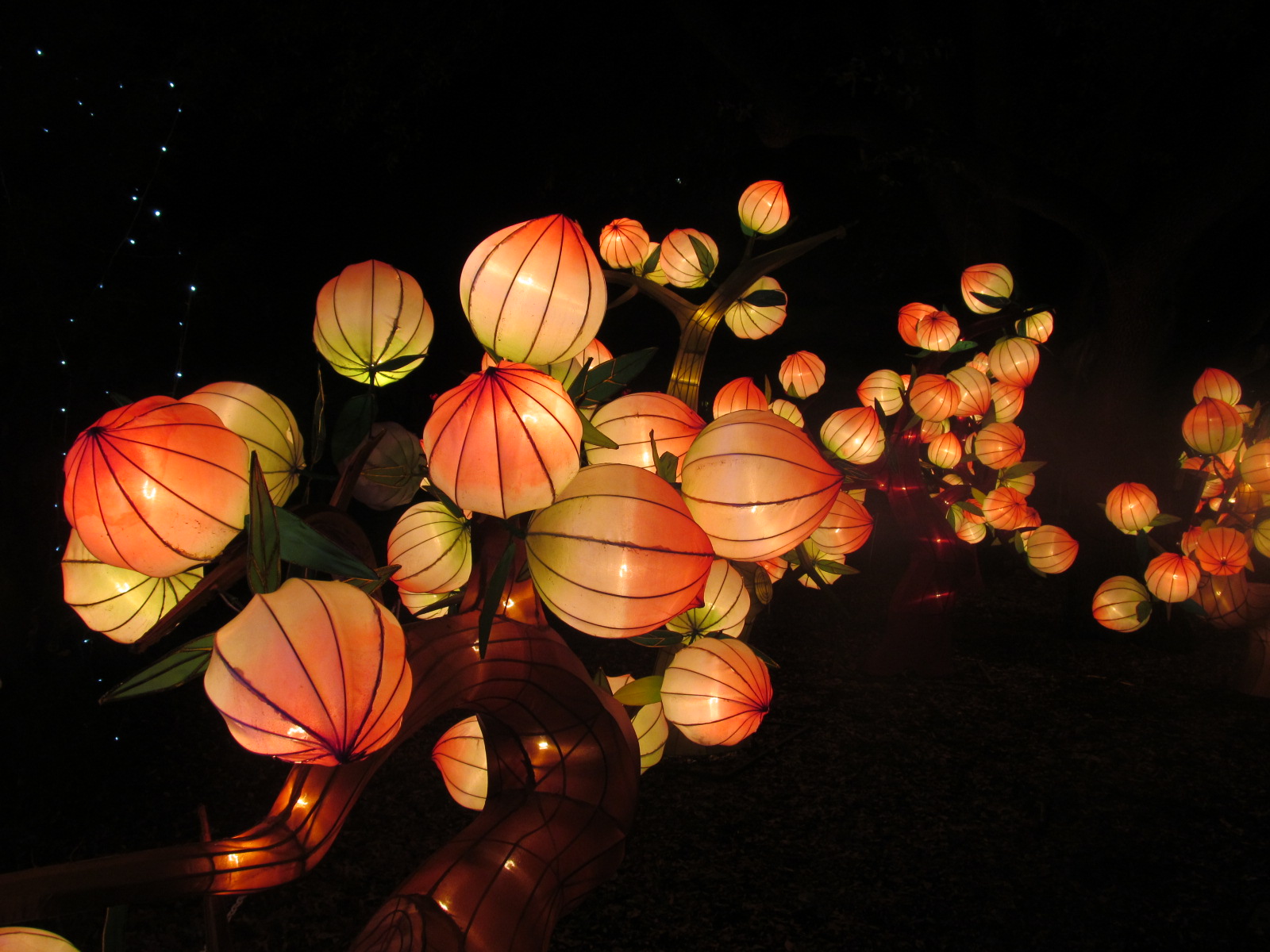 carta da parati lanterna cinese,illuminazione,arancia,fotografia di still life,lanterna,natura morta