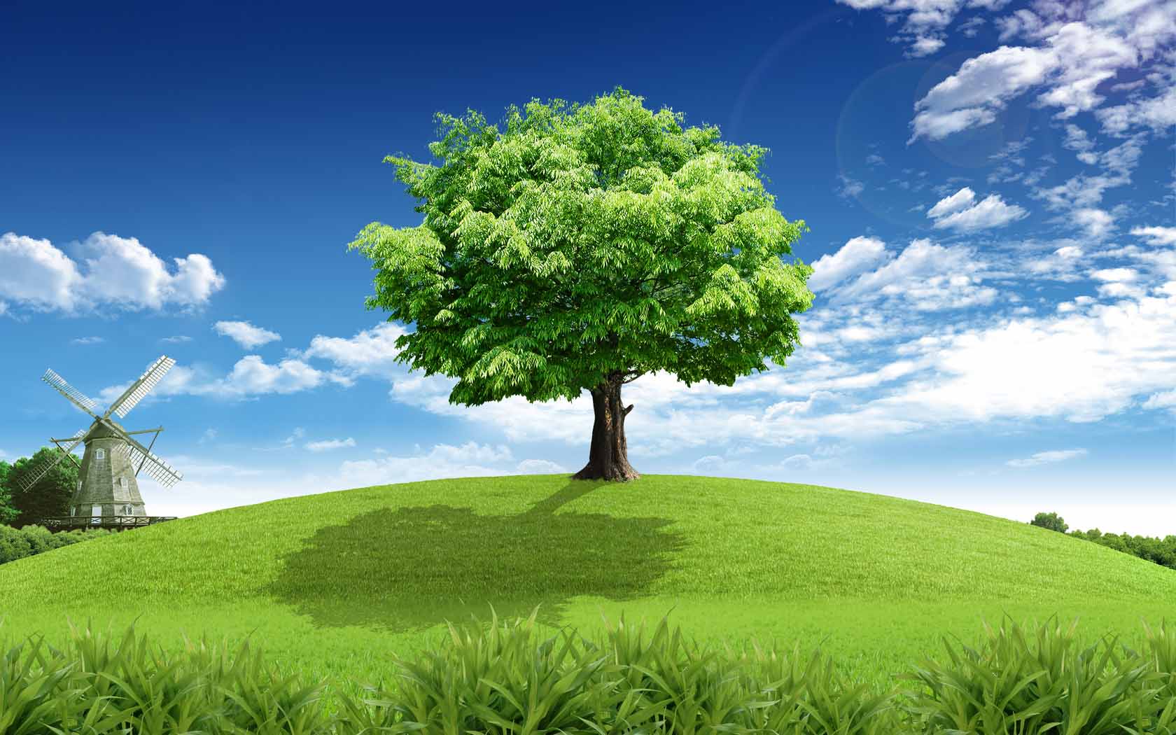tree hd wallpaper free download,natural landscape,nature,tree,grassland,green