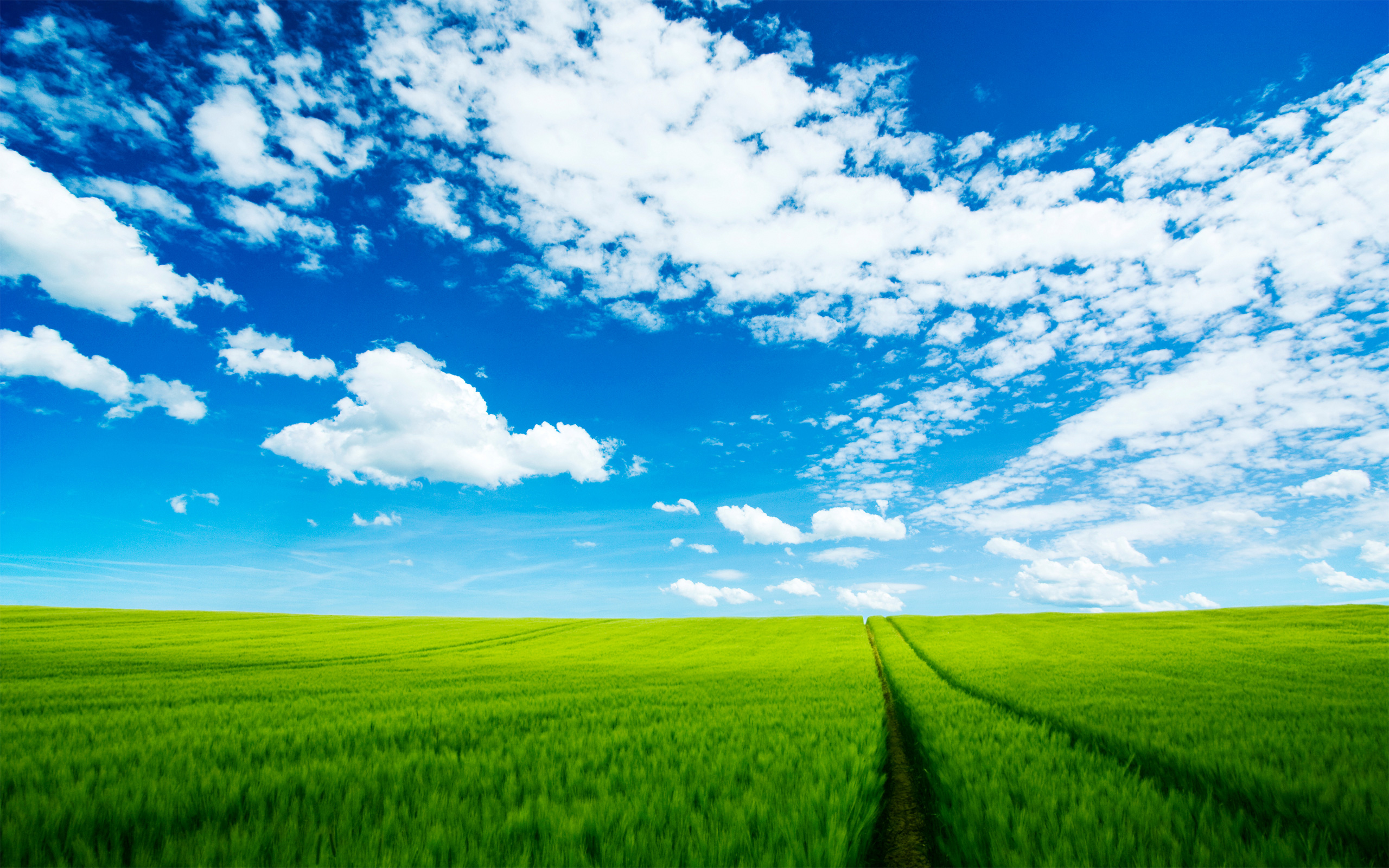 beautiful sky wallpaper,sky,natural landscape,people in nature,field,green