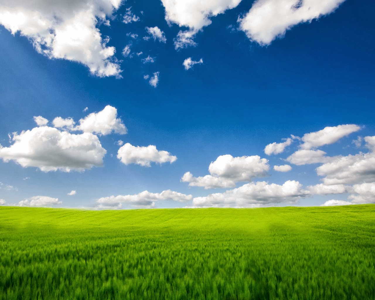 hermoso cielo fondo de pantalla,cielo,paisaje natural,pradera,campo,naturaleza