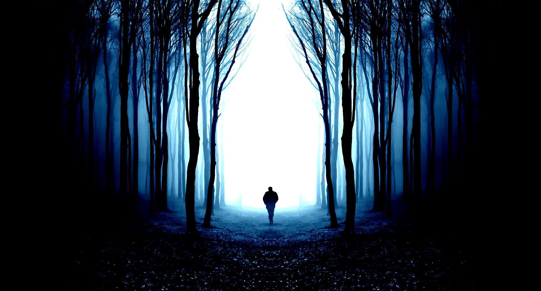 alone man wallpaper,blue,nature,darkness,tree,natural environment