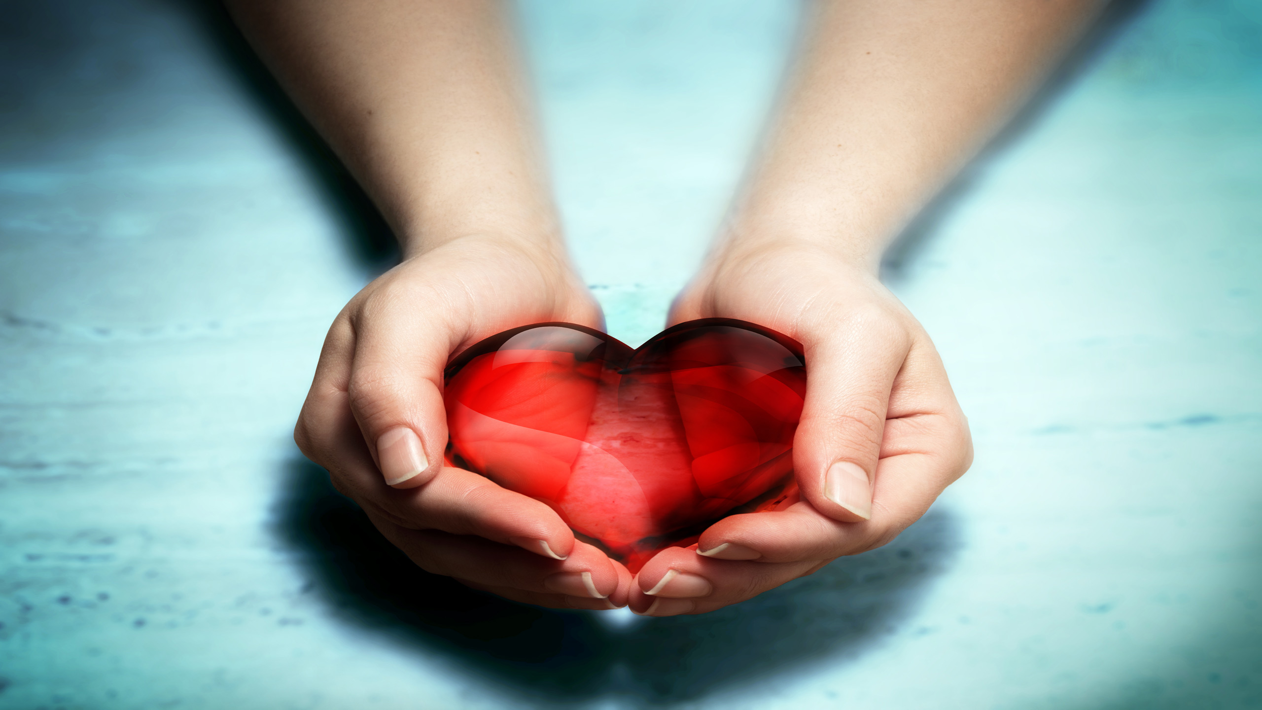 fondo de pantalla de caridad,rojo,mano,corazón,amor,día de san valentín