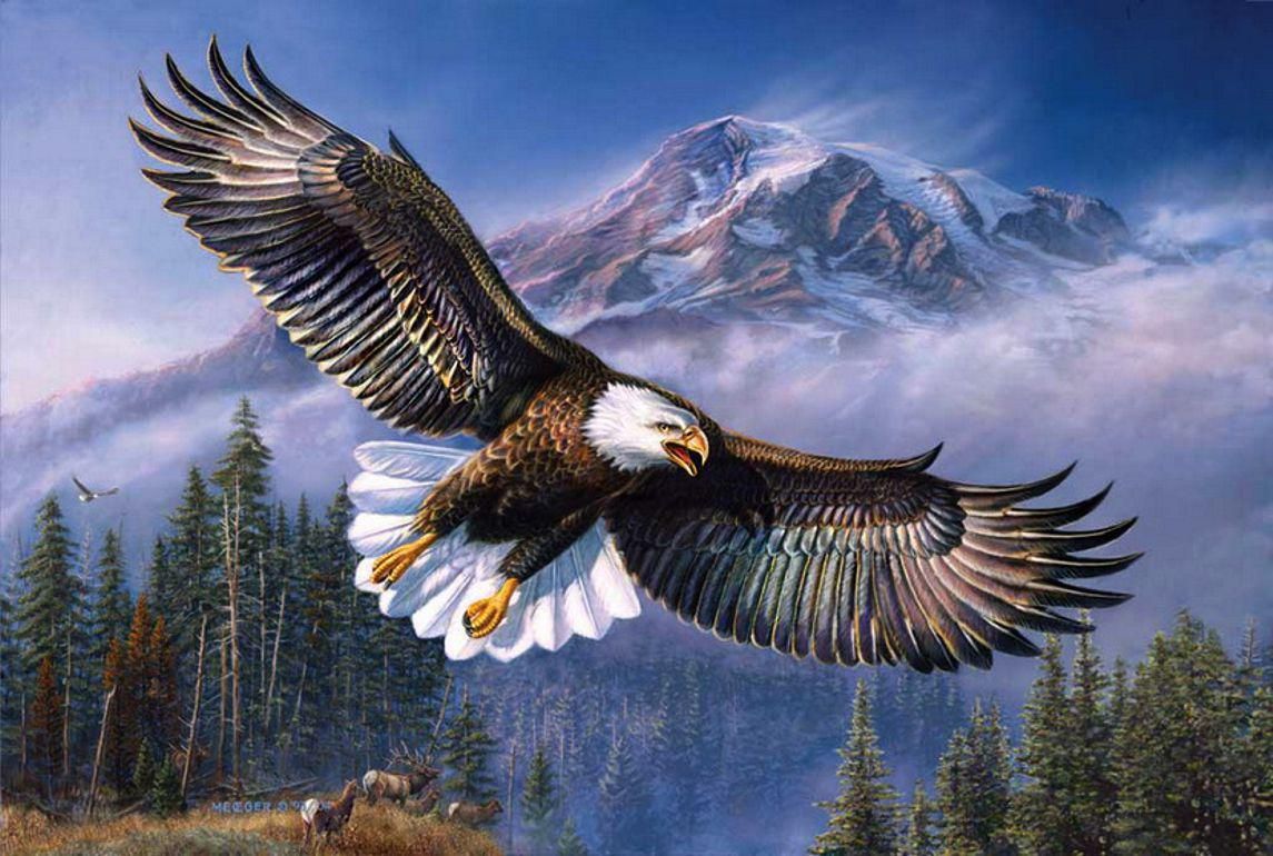 flying eagle wallpaper,golden eagle,bird of prey,eagle,bird,nature