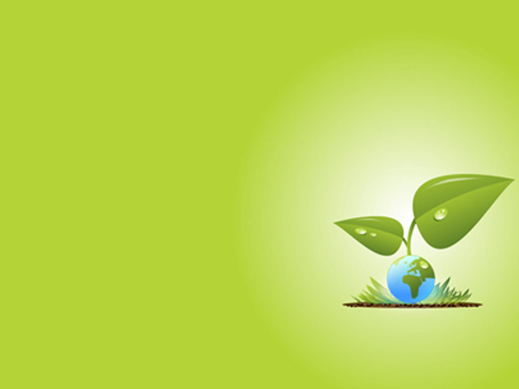 download wallpaper power point,green,leaf,water,plant,font