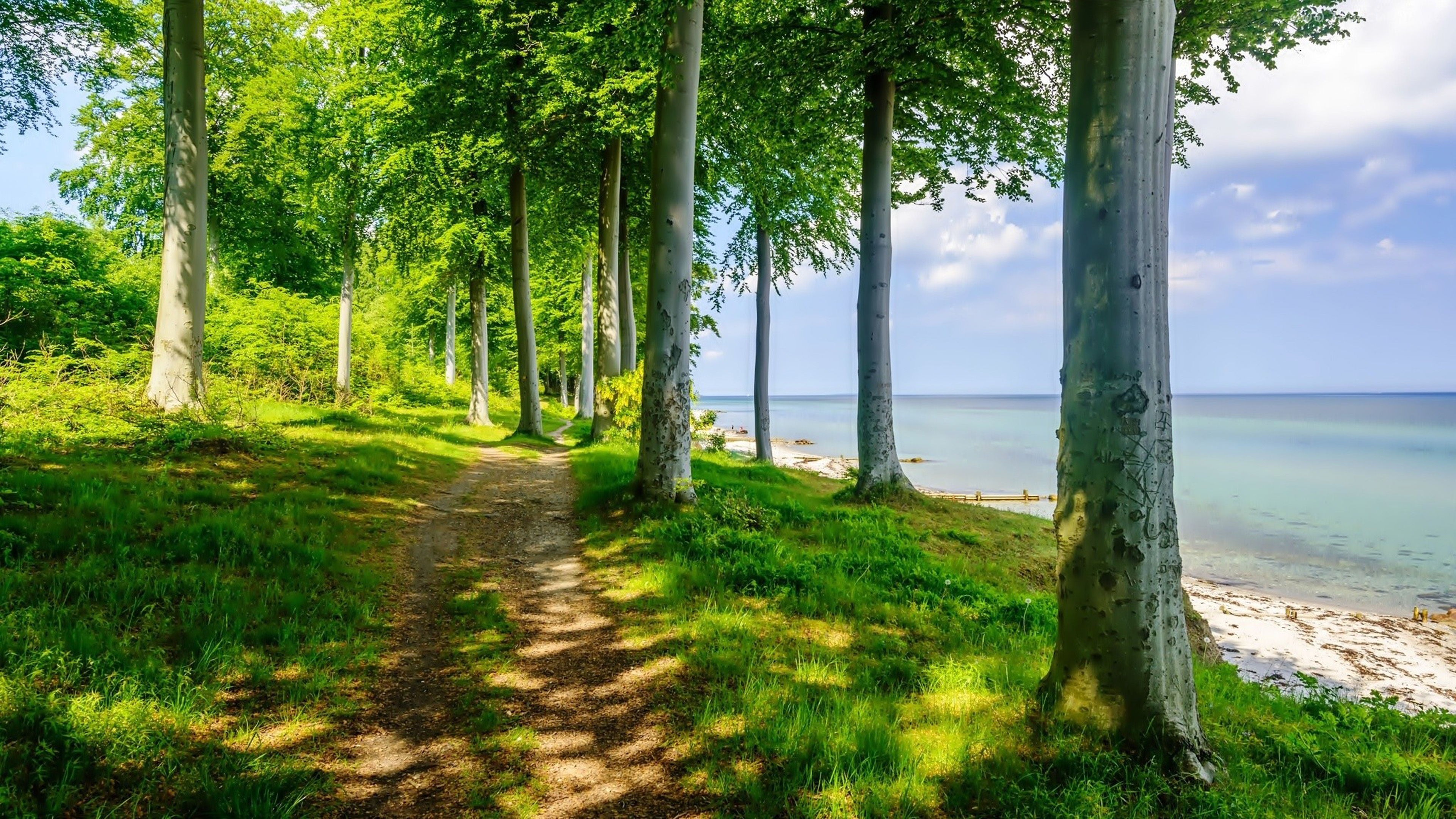 natur straße tapete hd,natürliche landschaft,natur,baum,ufer,wald