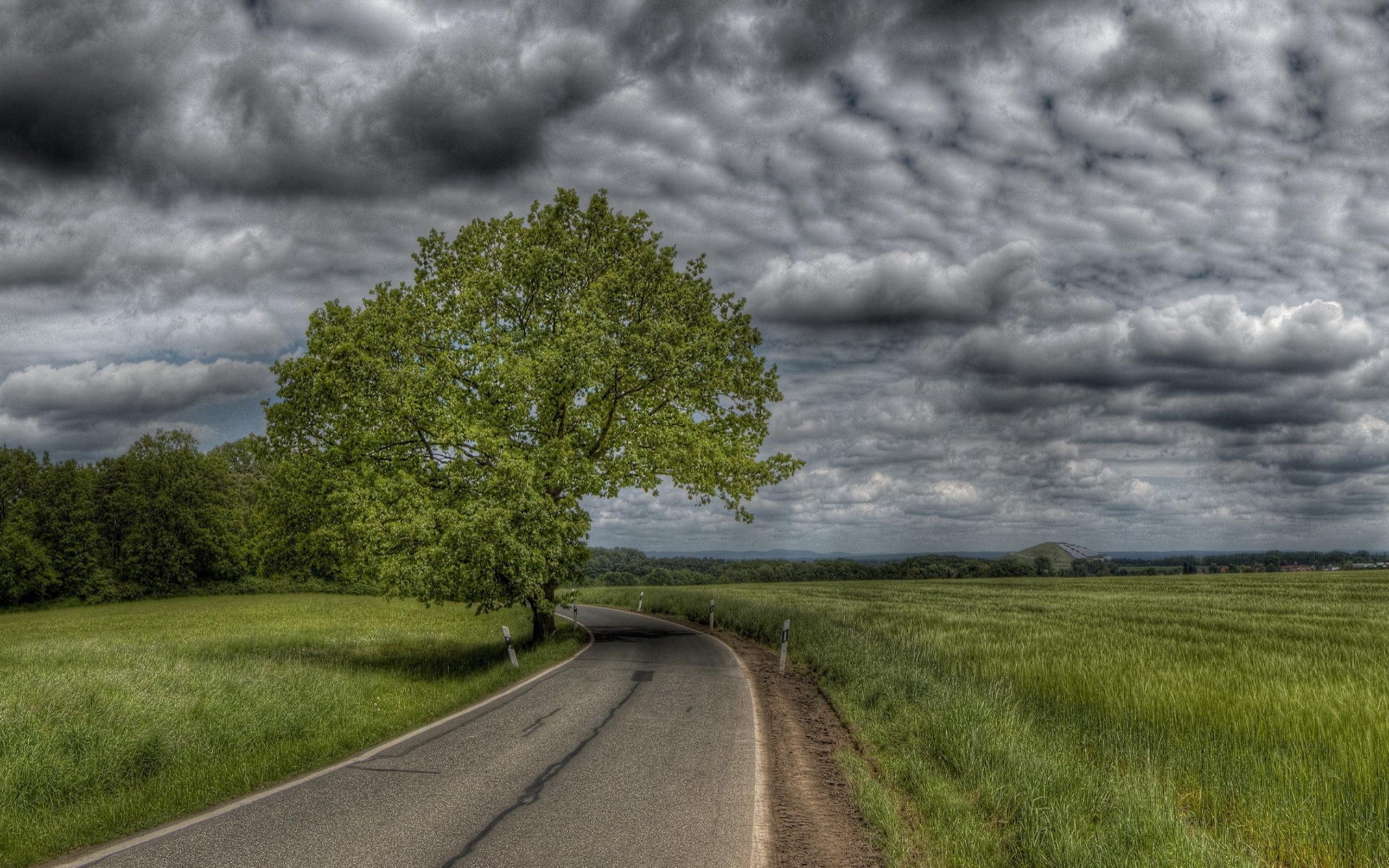 国の道路の壁紙,自然の風景,空,自然,雲,木