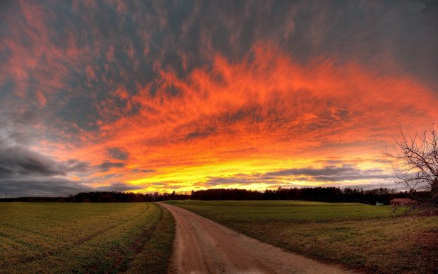 country road wallpaper,sky,natural landscape,nature,red sky at morning,cloud